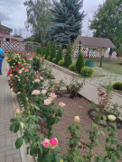 IMG_20250911_125211