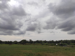 IMG_20250911_142719