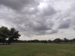 IMG_20250911_142723