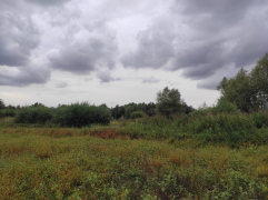 IMG_20250911_142836