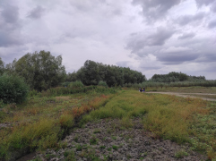 IMG_20250911_142915