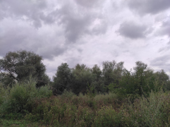 IMG_20250911_143236