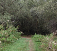 IMG_20250911_143912