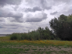 IMG_20250911_144025
