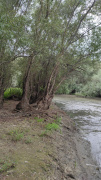 IMG_20250911_144441