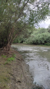 IMG_20250911_144444