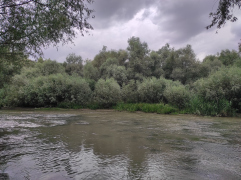 IMG_20250911_144450