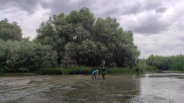 IMG_20250911_144810
