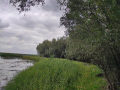 IMG_20250911_145008