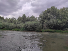 IMG_20250911_145229