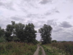 IMG_20250911_150418