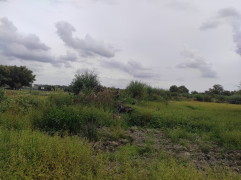IMG_20250911_151001