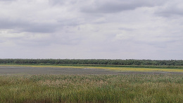 IMG_20250911_152015
