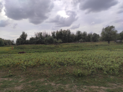 IMG_20250911_152714
