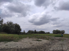IMG_20250911_153536