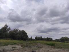IMG_20250911_154202